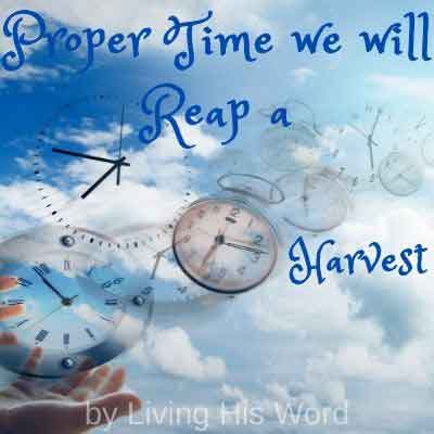 proper time we will reap a harvest Galatians 6
