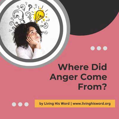 where did anger come from image